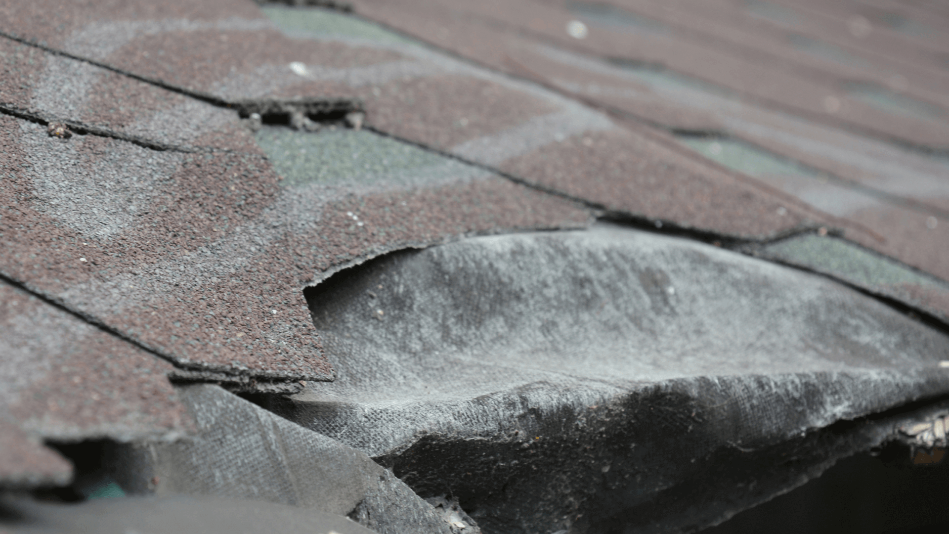 Wind Damage Roof Repair